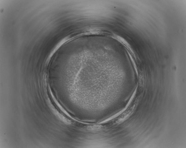 X0000073890859200609011651