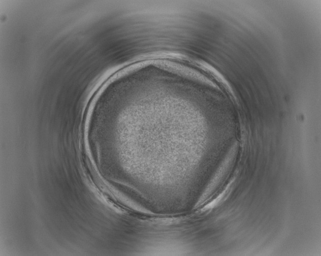 X0000073890860200609011651