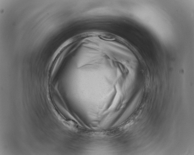 X0000073890861200609011651