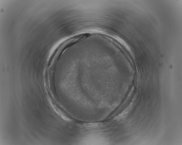 X0000073890862200609011651