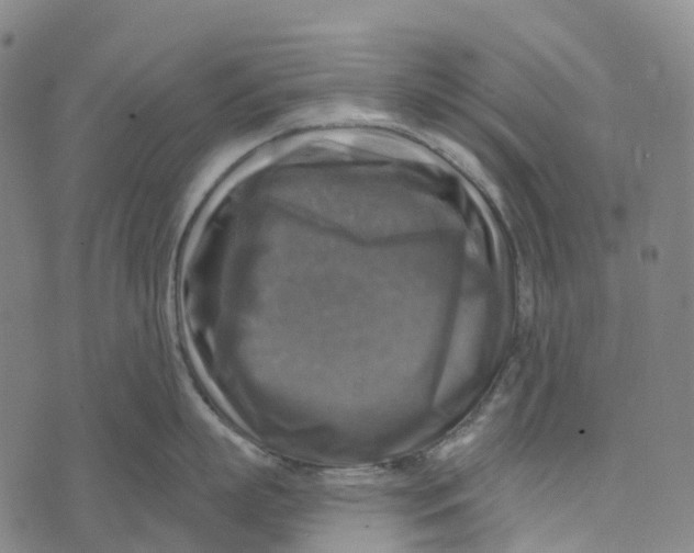 X0000073890863200609011651