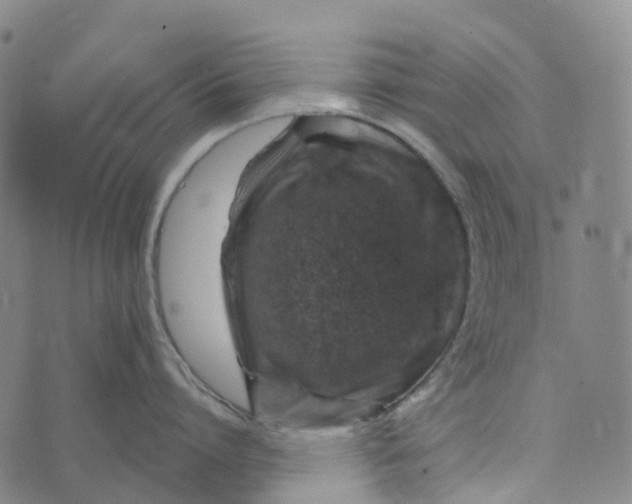 X0000073890864200609011651