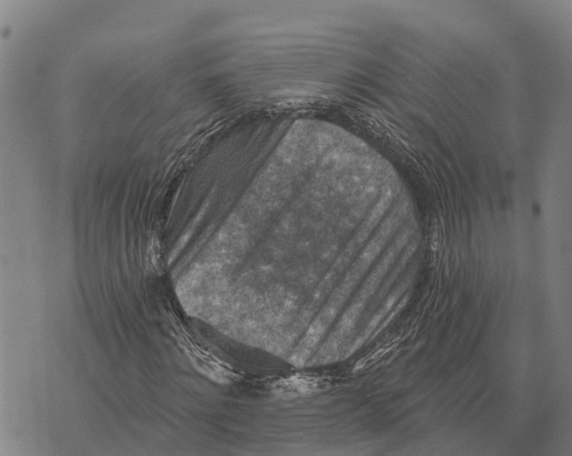 X0000073890868200609011651