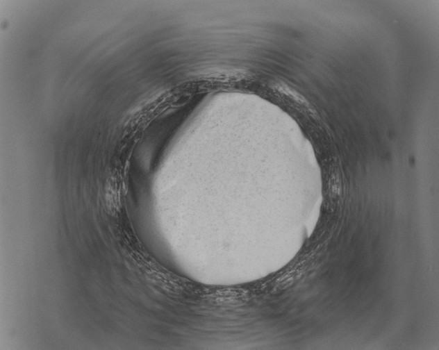 X0000073890869200609011651