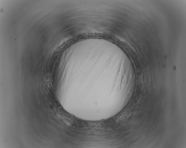 X0000073890870200609011650