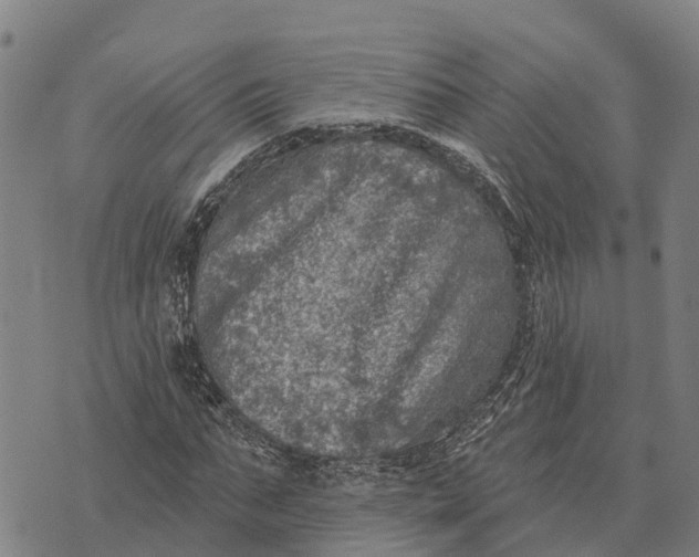 X0000073890871200609011650