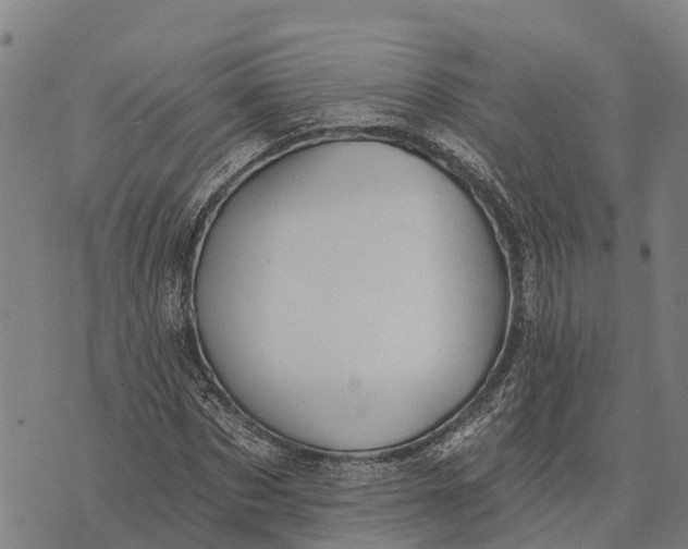 X0000073890873200609011650