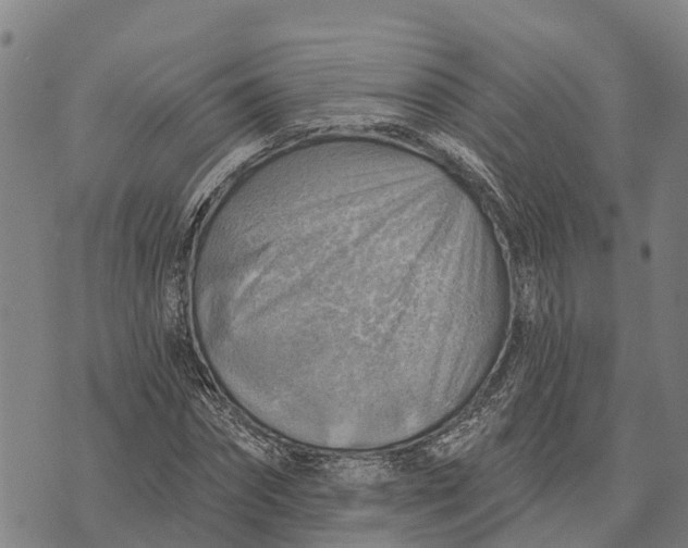 X0000073890874200609011650