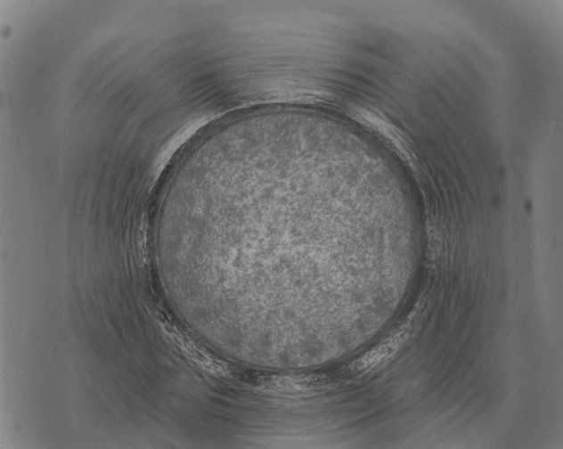 X0000073890875200609011650