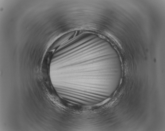 X0000073890876200609011650