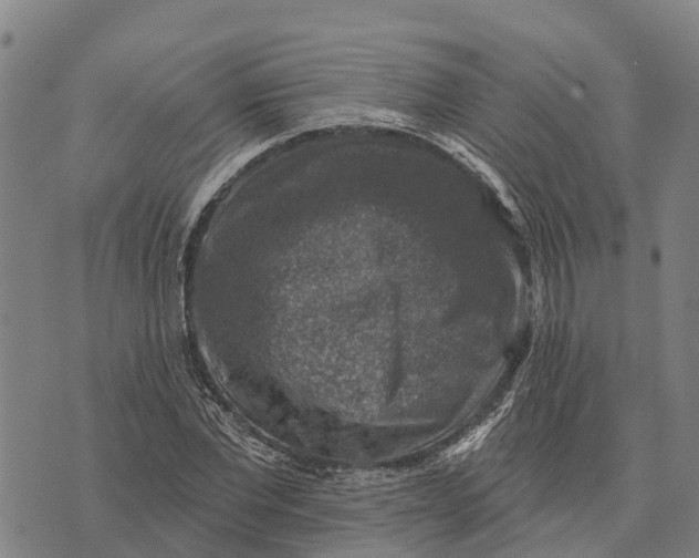 X0000073890877200609011650