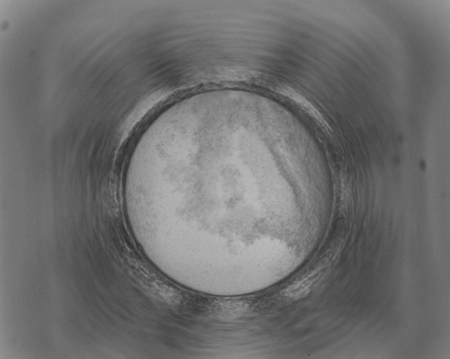 X0000073890878200609011650