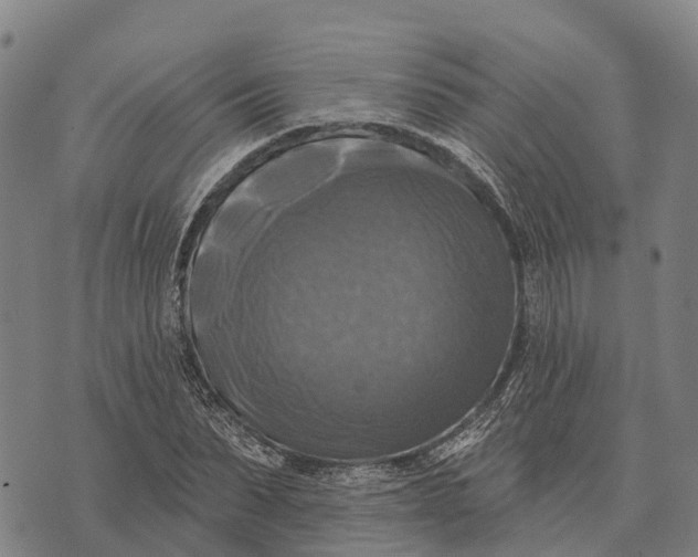 X0000073890879200609011650