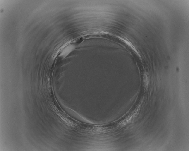 X0000073890881200609011650