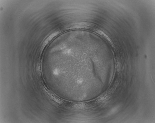 X0000073890882200609011650