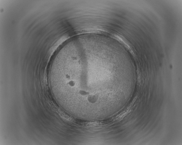 X0000073890883200609011650