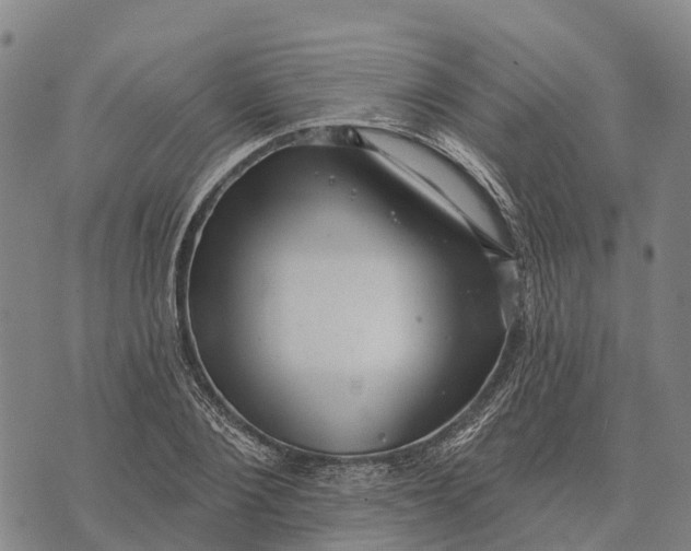 X0000073890884200609011650