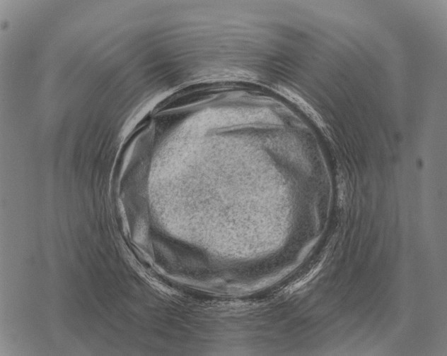 X0000073890885200609011650