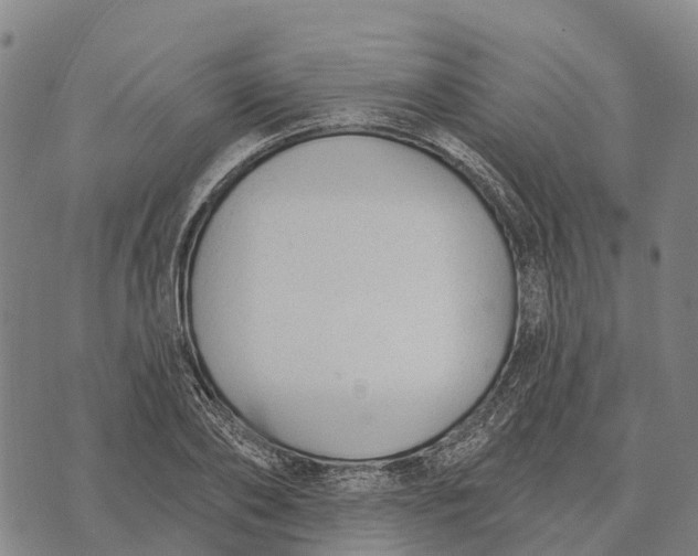 X0000073890886200609011650