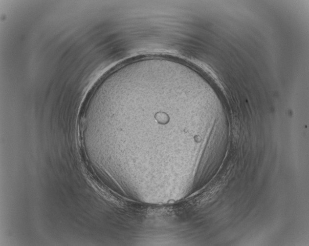 X0000073890887200609011650