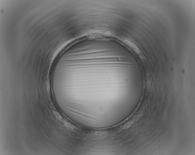 X0000073890888200609011650