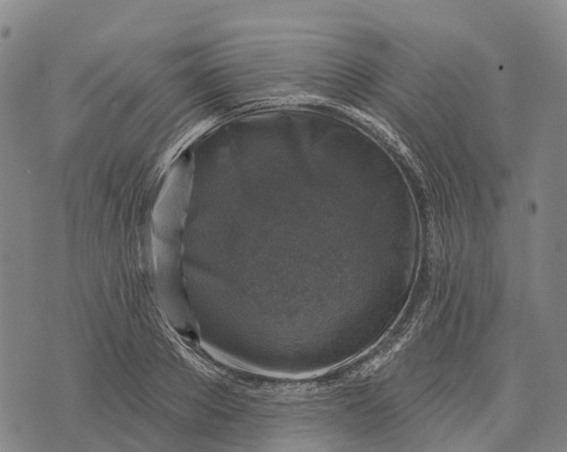 X0000073890889200609011650