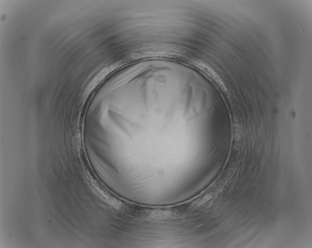 X0000073890890200609011650