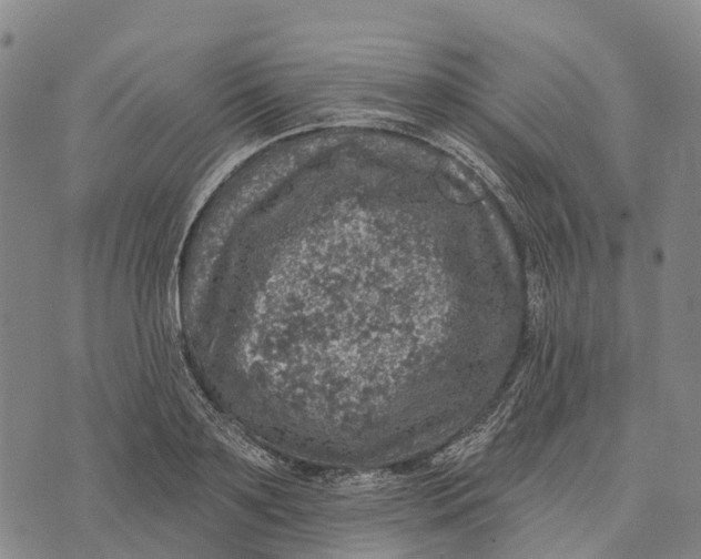 X0000073890891200609011650