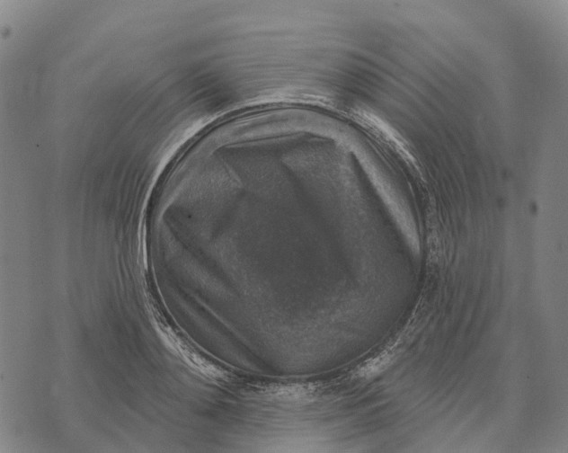 X0000073890892200609011650