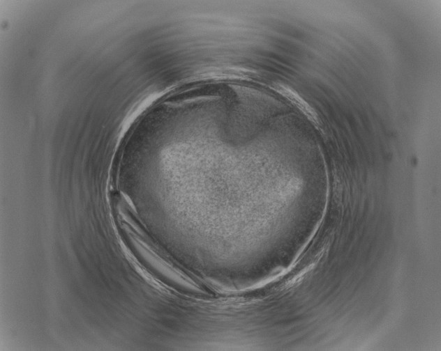 X0000073890893200609011650