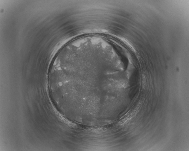 X0000073890895200609011650