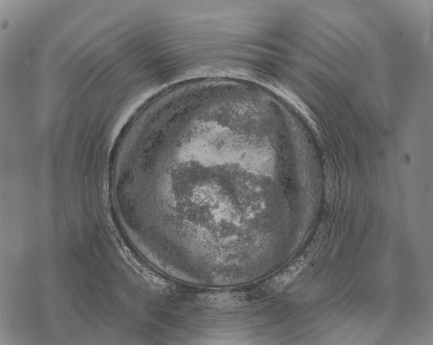 X0000073890896200609011650