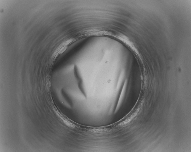 X0000073890897200609011650