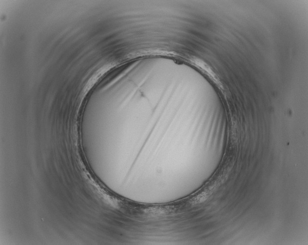 X0000073890898200609011650