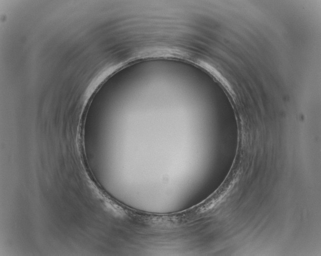 X0000073890901200609011650