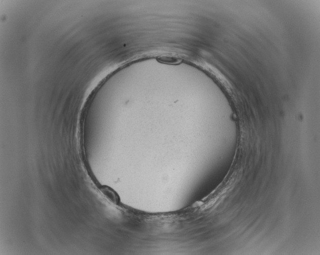 X0000073890902200609011650