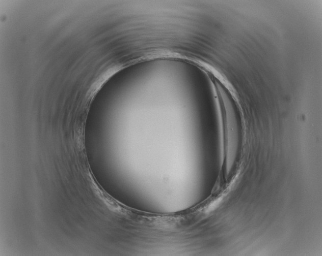 X0000073890905200609011650