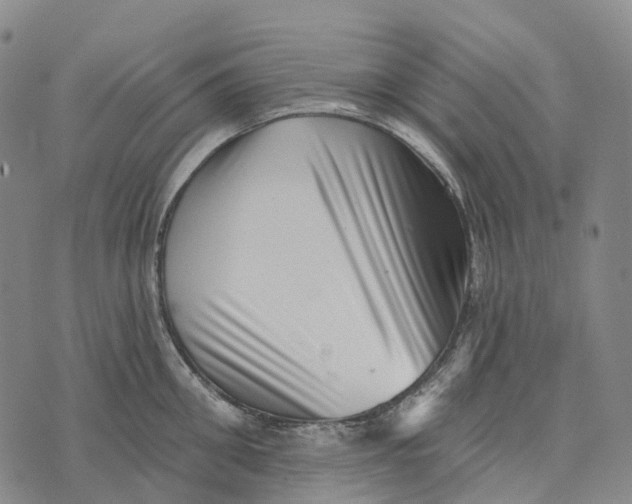 X0000073890906200609011650