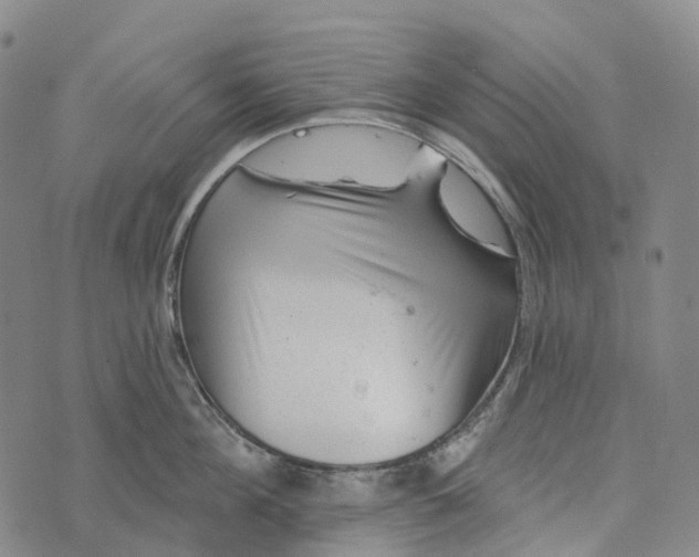 X0000073890908200609011650