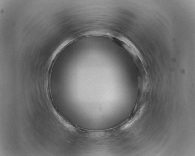 X0000073890909200609011650