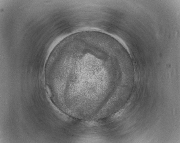 X0000073890911200609011650