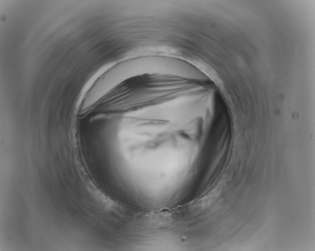 X0000073890912200609011650