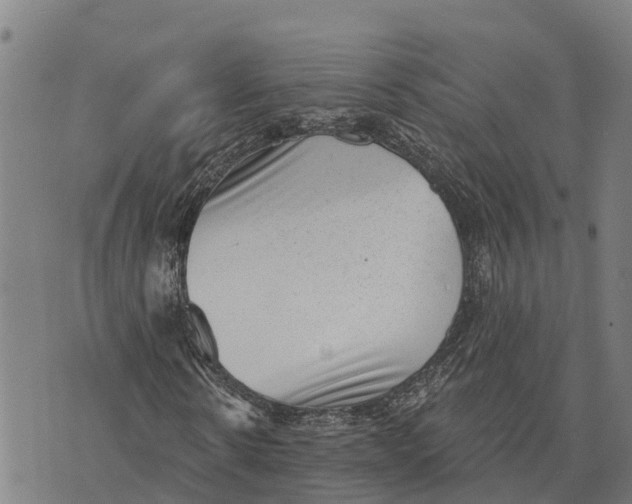 X0000073890914200609011649