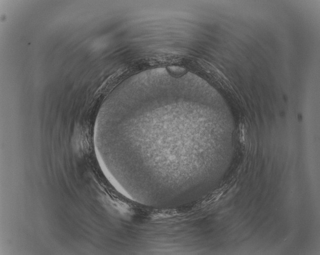 X0000073890915200609011649