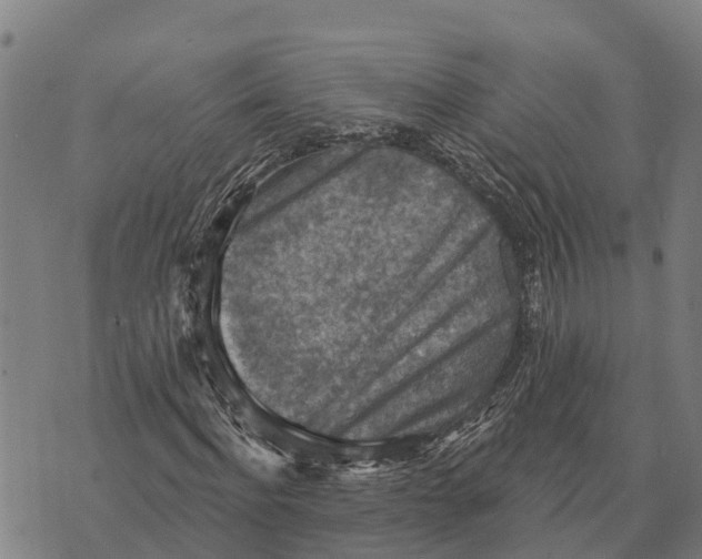 X0000073890916200609011649