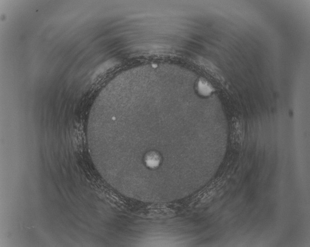 X0000073890918200609011649