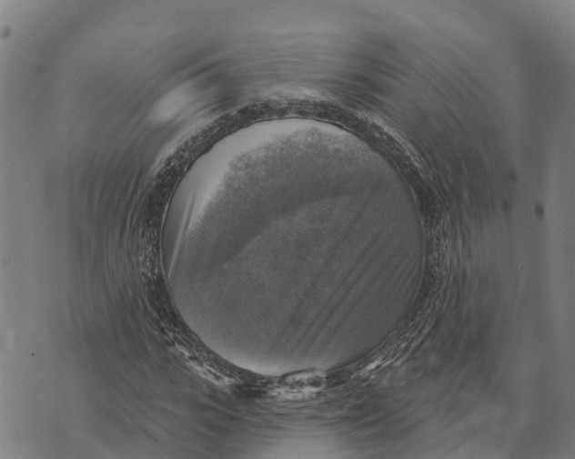 X0000073890919200609011649