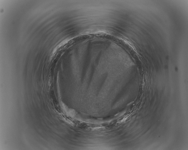 X0000073890920200609011649