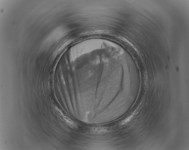 X0000073890921200609011649