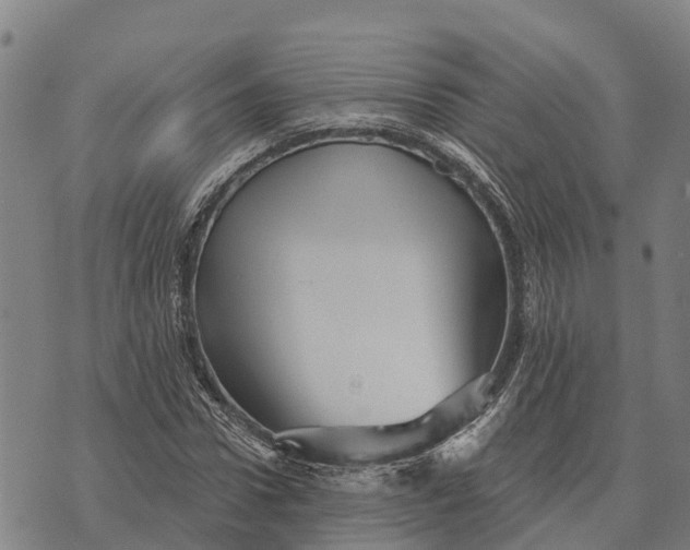 X0000073890922200609011649